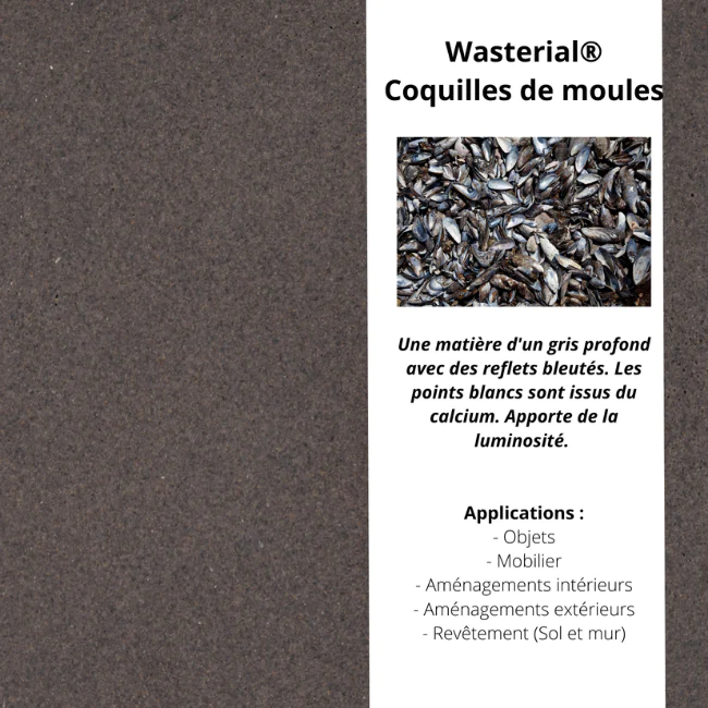 Wasterial® coquilles de moules